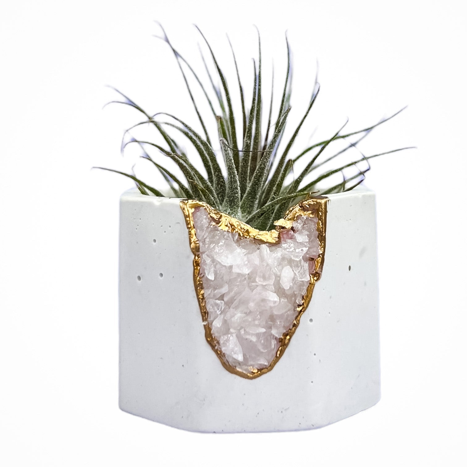 rose quartz air plant Rose Quartz Geode Vessel