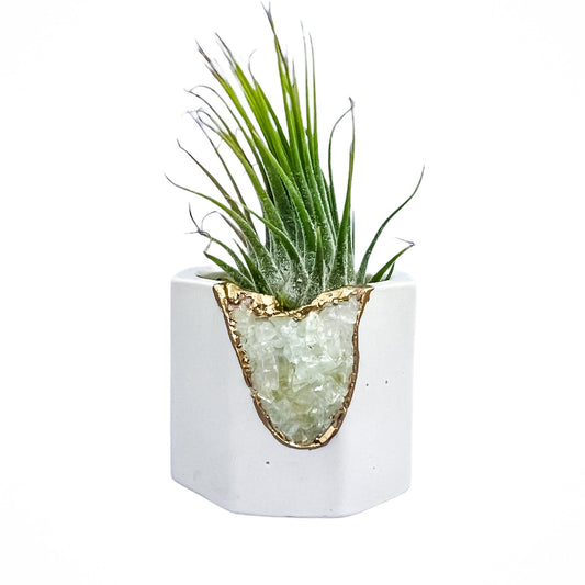 Green Calcite Geode Vessel | White