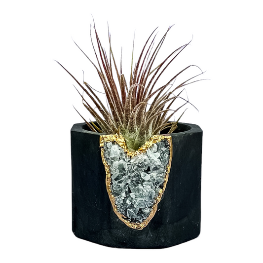 Green Calcite Geode Vessel | Black