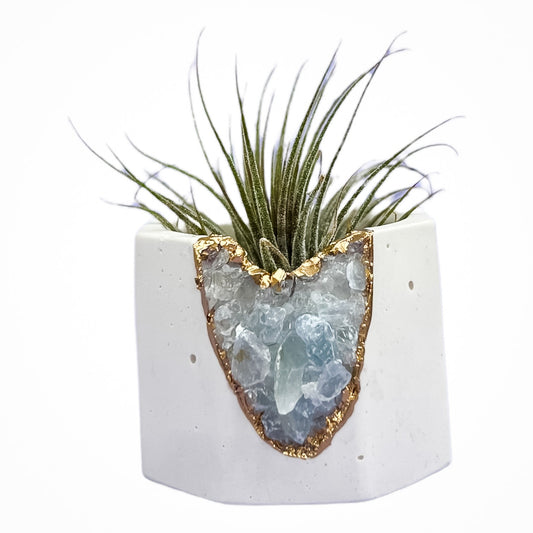 Celestite Geode Vessel | White